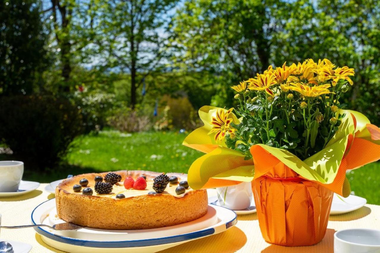 Ferienwohnungen Bauer - Auszeit Mit Ausblick Zenting Bagian luar foto