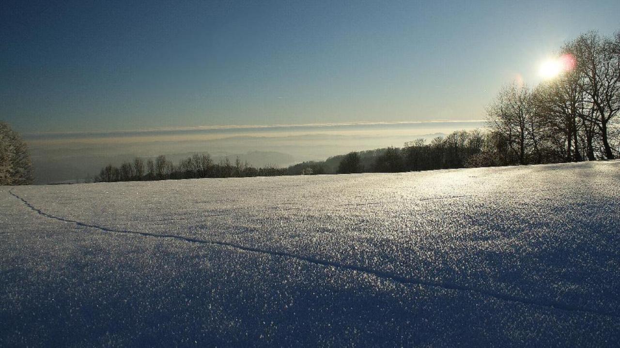 Ferienwohnungen Bauer - Auszeit Mit Ausblick Zenting Bagian luar foto