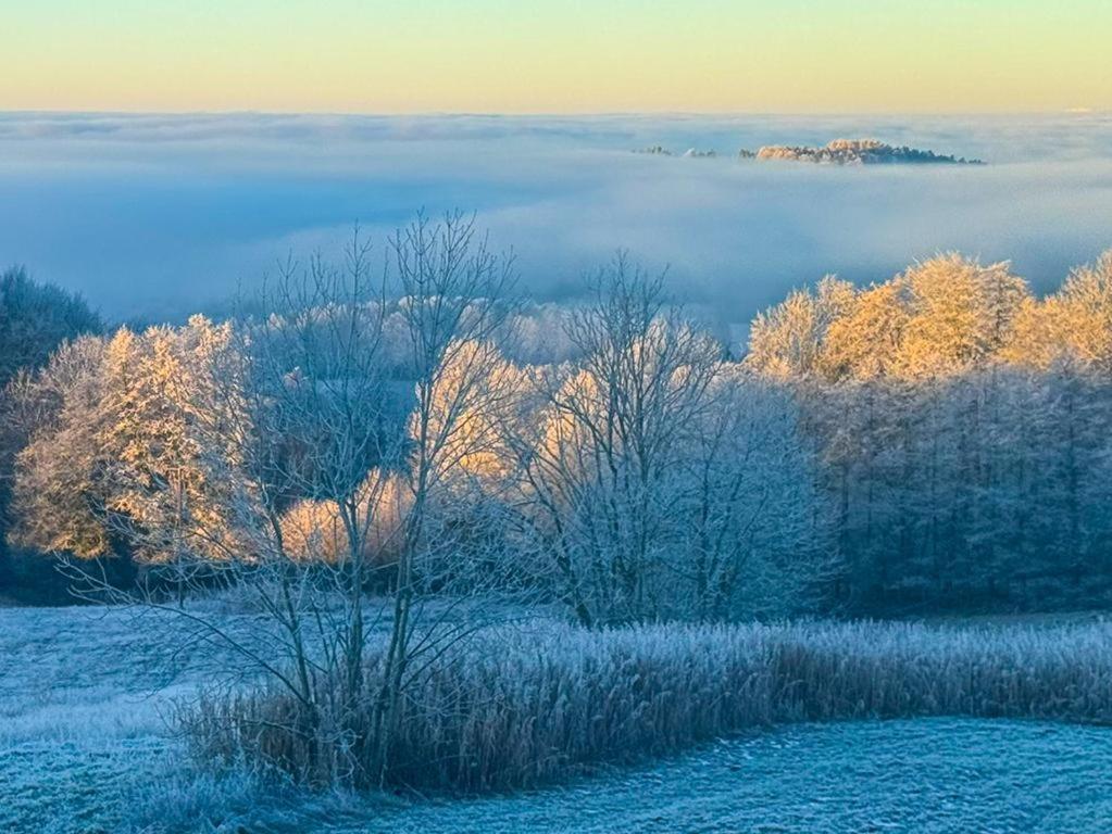 Ferienwohnungen Bauer - Auszeit Mit Ausblick Zenting Bagian luar foto